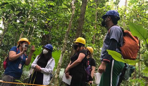 uplb bs biology majors|BS Bio Class of 2022 gives thumbs up for bridging program .
